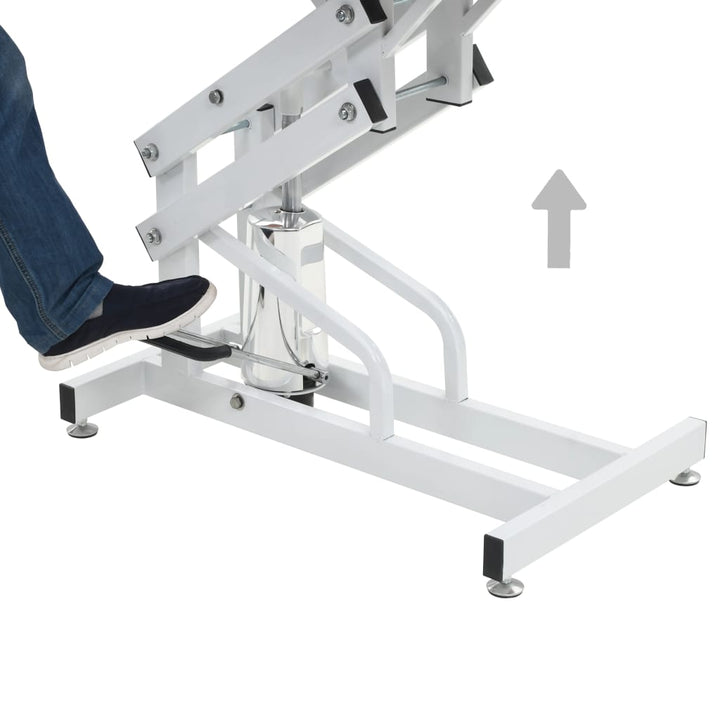 Hydraulic Bath Grooming Table For Dogs Cats Pets Adjustable