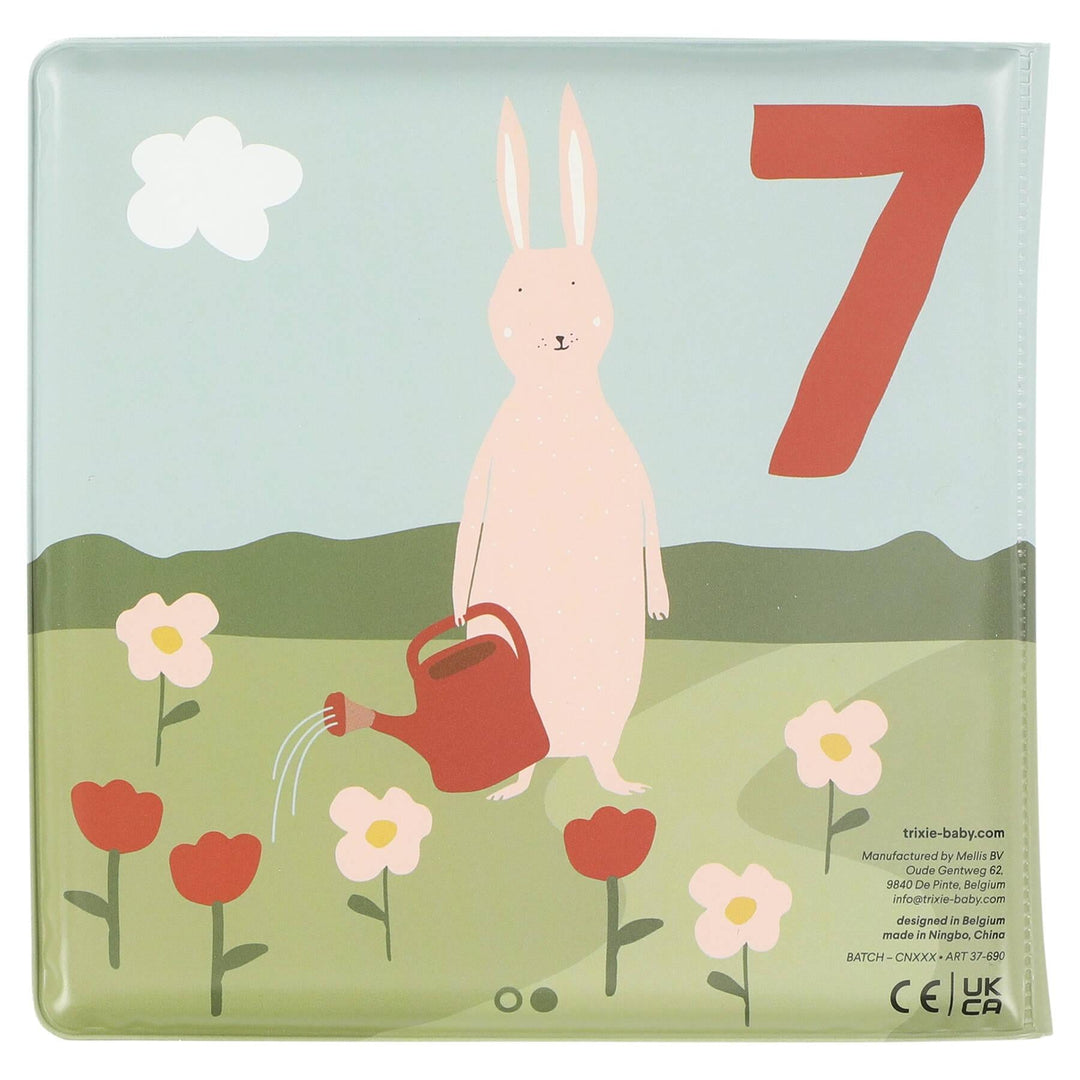 Counting Bath Book - Mr Fox and Friends