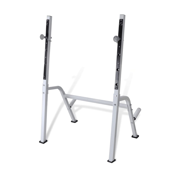 Multi-Exercise Workout Bench