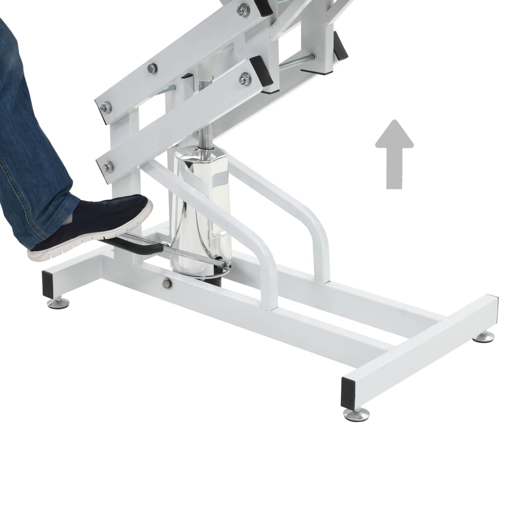 Hydraulic Bath Grooming Table For Dogs Cats Pets Adjustable