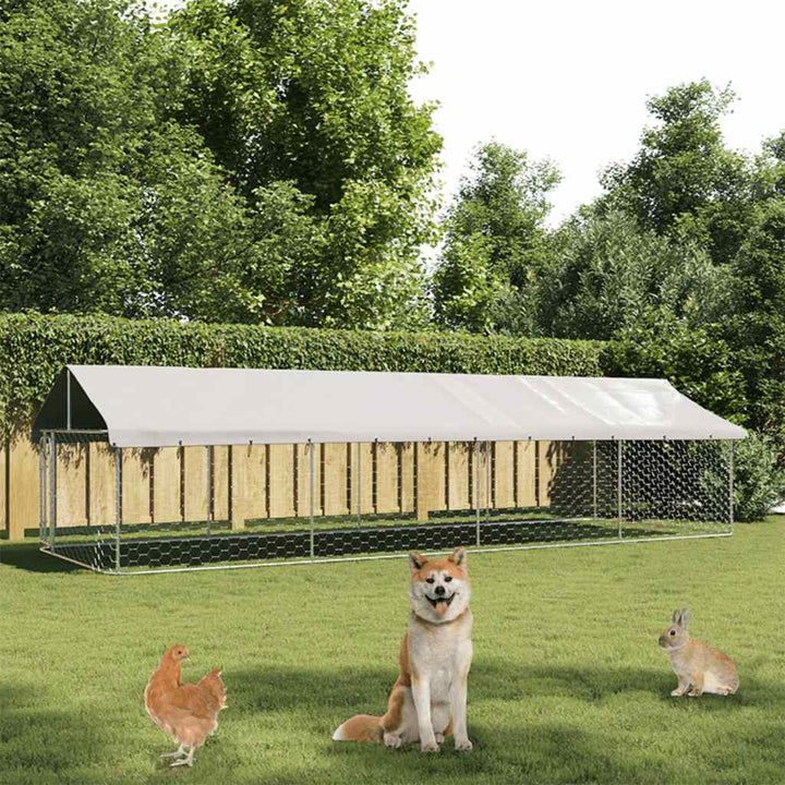Outdoor Dog Kennel With Roof