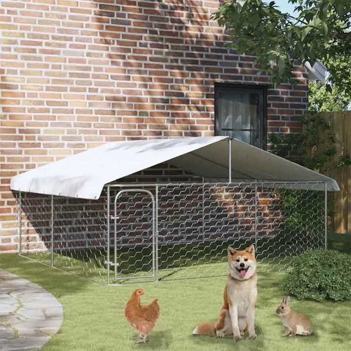 Outdoor Dog Kennel With Roof