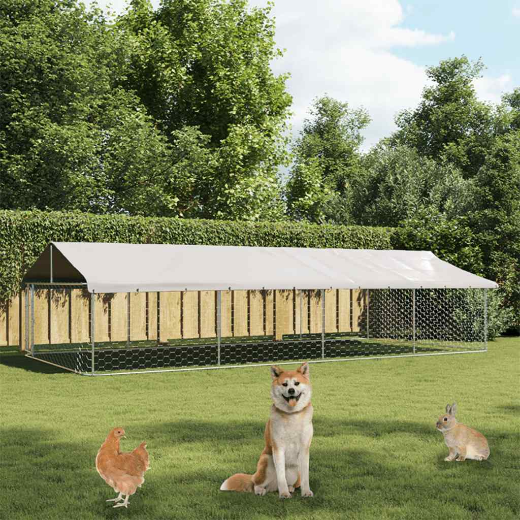 Outdoor Dog Kennel With Roof