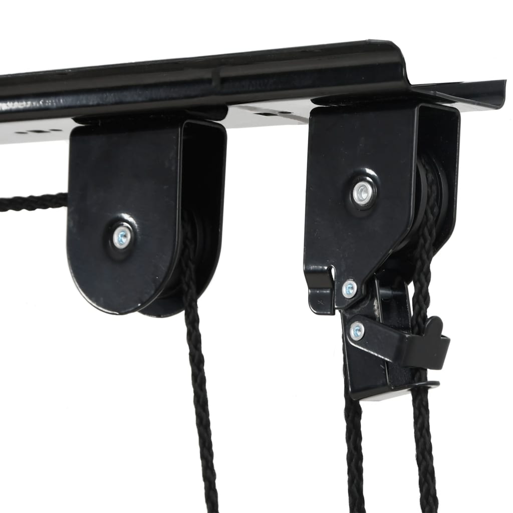 Bike Hoists With Ceiling Mount 2 Pcs 20 Kg