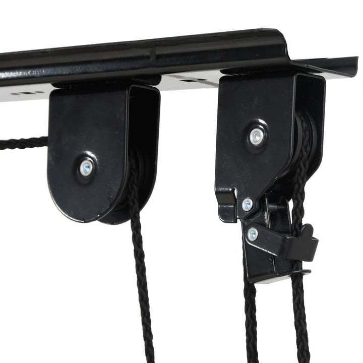 Bike Hoists With Ceiling Mount 2 Pcs 20 Kg