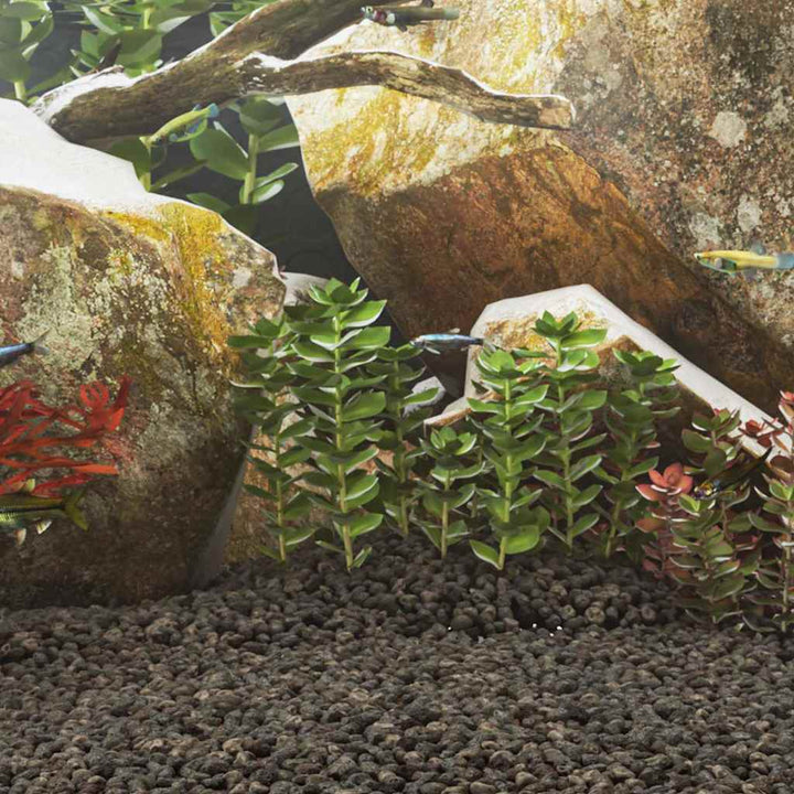 Volcanic Rocks 25 Kg 5-8 Mm