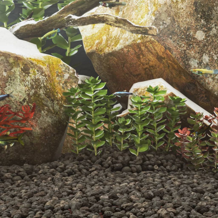 Volcanic Rocks 25 Kg 5-8 Mm