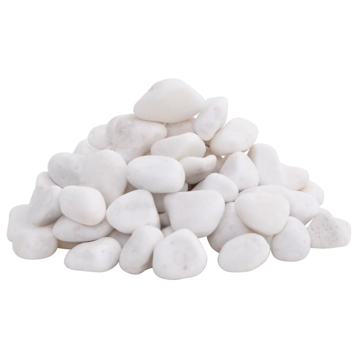 Polished Pebbles 10 Kg 2-5 Cm