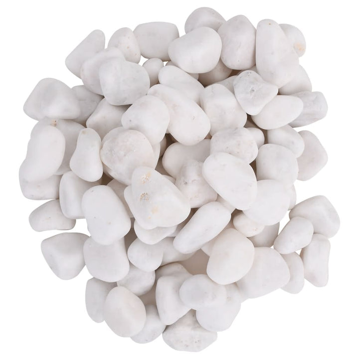 Polished Pebbles 10 Kg 2-5 Cm