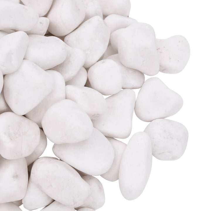 Polished Pebbles 10 Kg 2-5 Cm