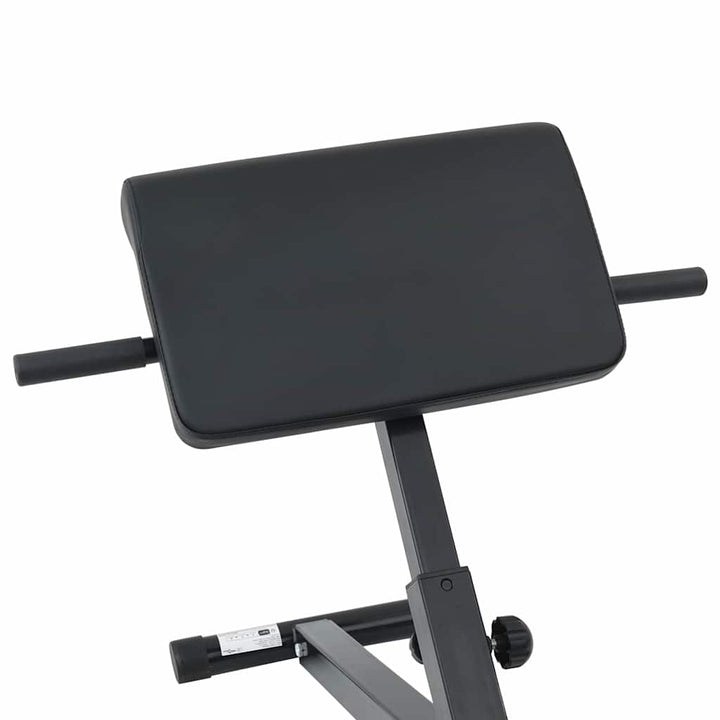 Hyperextension Bench Black 101 X 70 X 71 Cm Powder-Coated Steel
