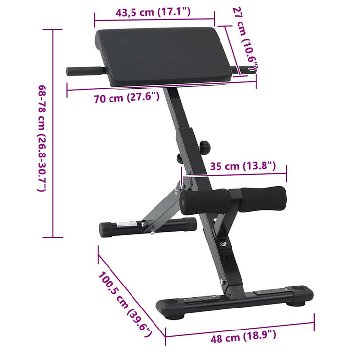 Hyperextension Bench Black 101 X 70 X 71 Cm Powder-Coated Steel
