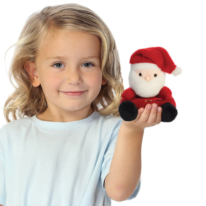 Palm Pals Santa Claus Soft Toy - 13cm