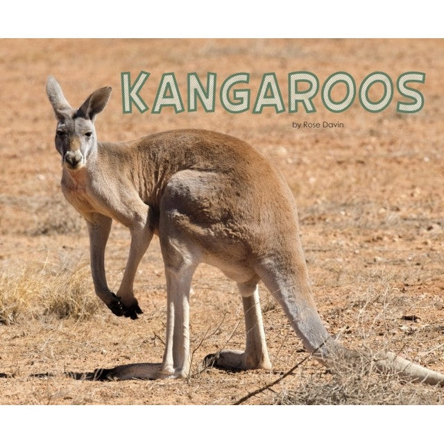 Kangaroos - Rose Davin