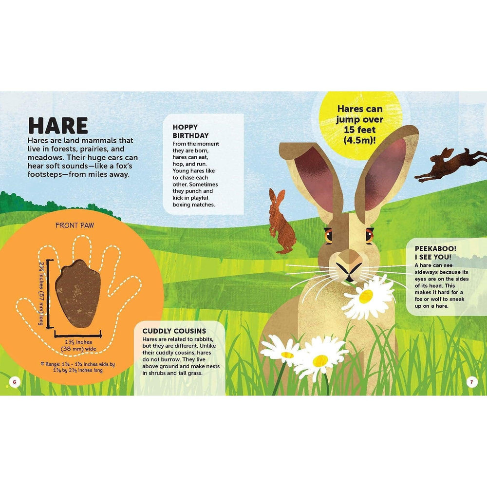 How Big Is Your Paw? Forest Animals: Go Paw-To-Paw With Life-Sized Animal Cutouts Big And Small! - Kristin J. Russo
