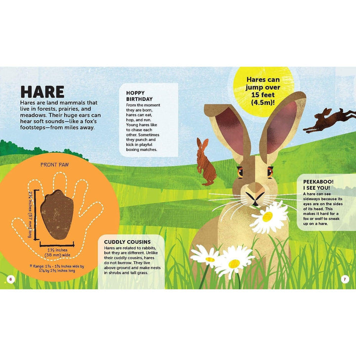 How Big Is Your Paw? Forest Animals: Go Paw-To-Paw With Life-Sized Animal Cutouts Big And Small! - Kristin J. Russo
